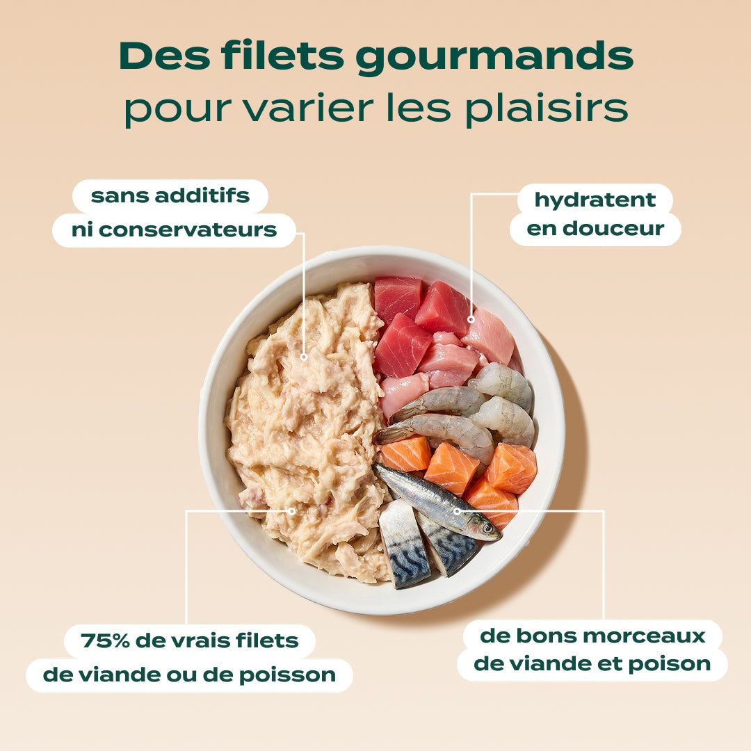 PACK TROUBLES URINAIRES CHAT