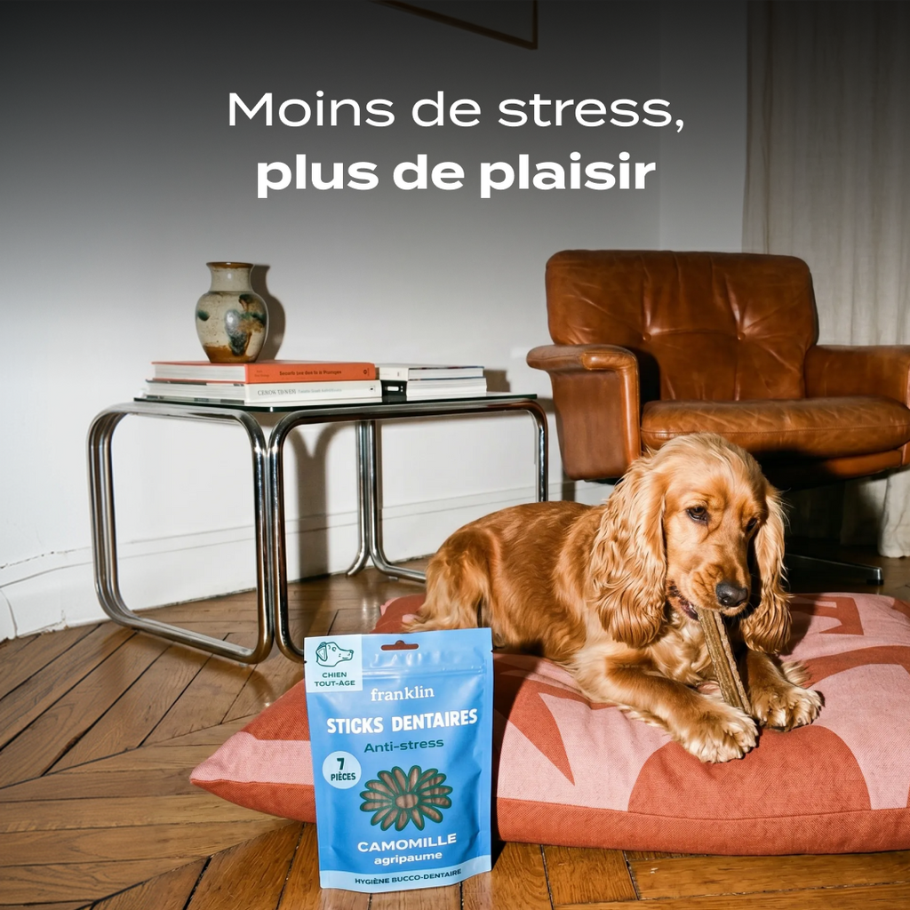 STICKS ANTI-STRESS