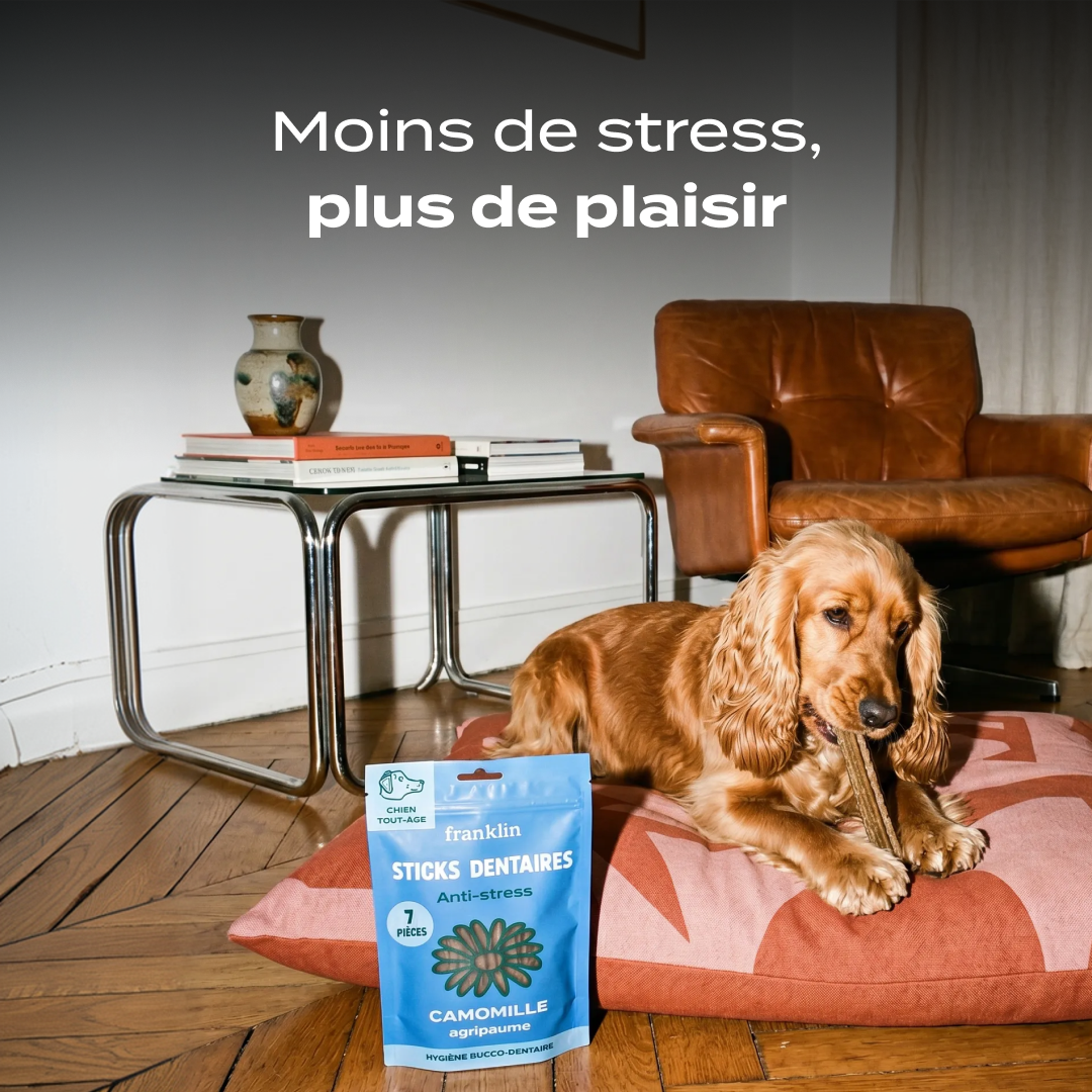 STICKS ANTI-STRESS