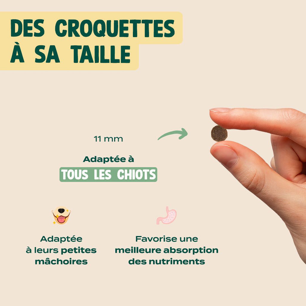 POULET, SAUMON, FENOUIL