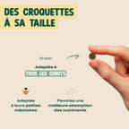 POULET, SAUMON, FENOUIL