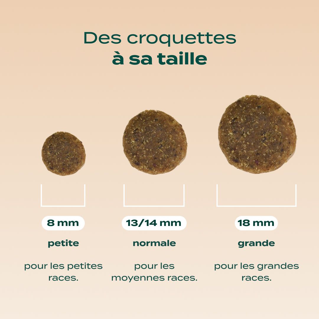 CANARD, POMME, CAROTTE