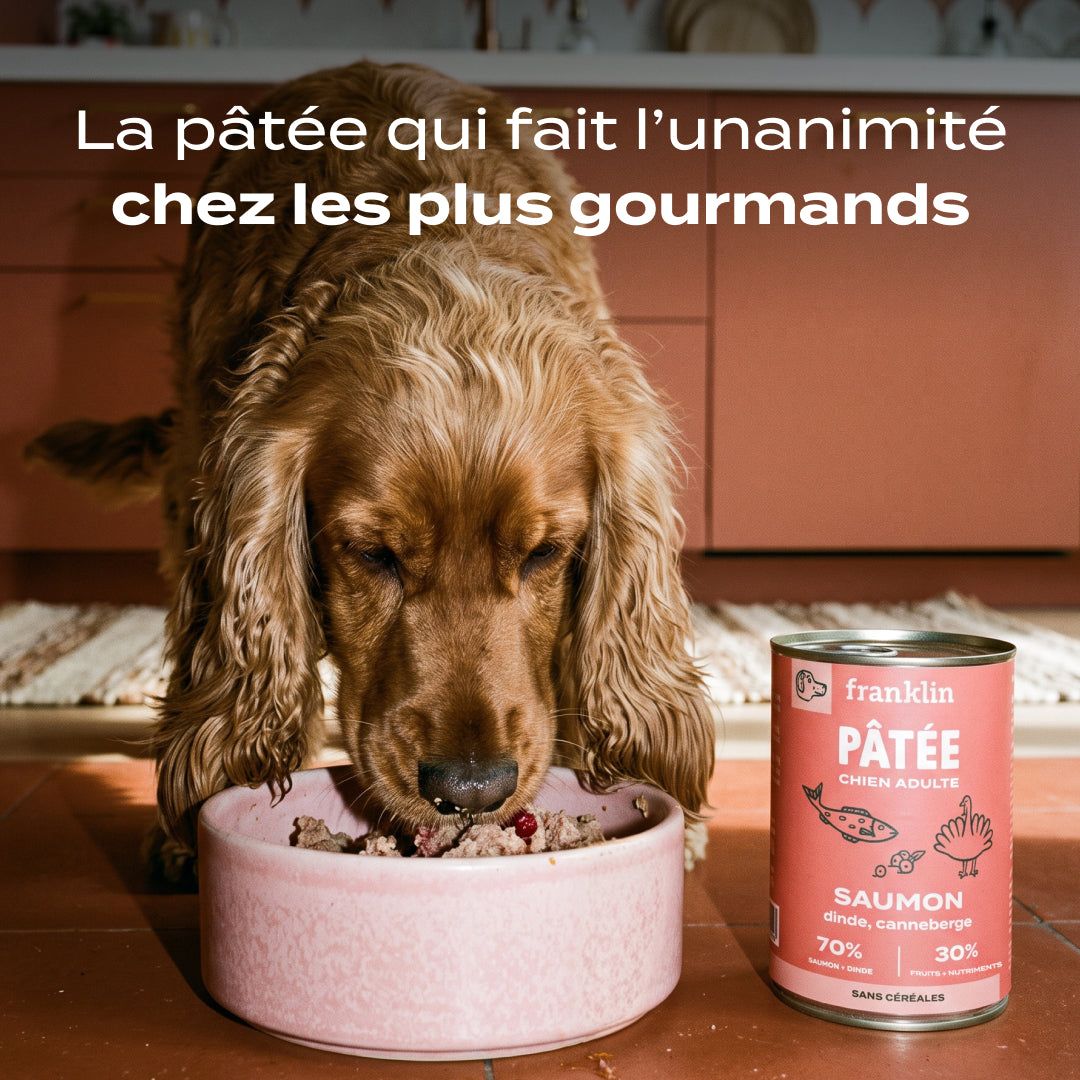 SAUMON, DINDE, CANNEBERGE
