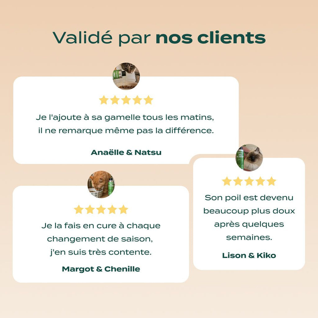 HUILE DE CHANVRE BIO