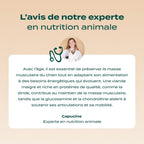 DINDE, COURGE, POIRE