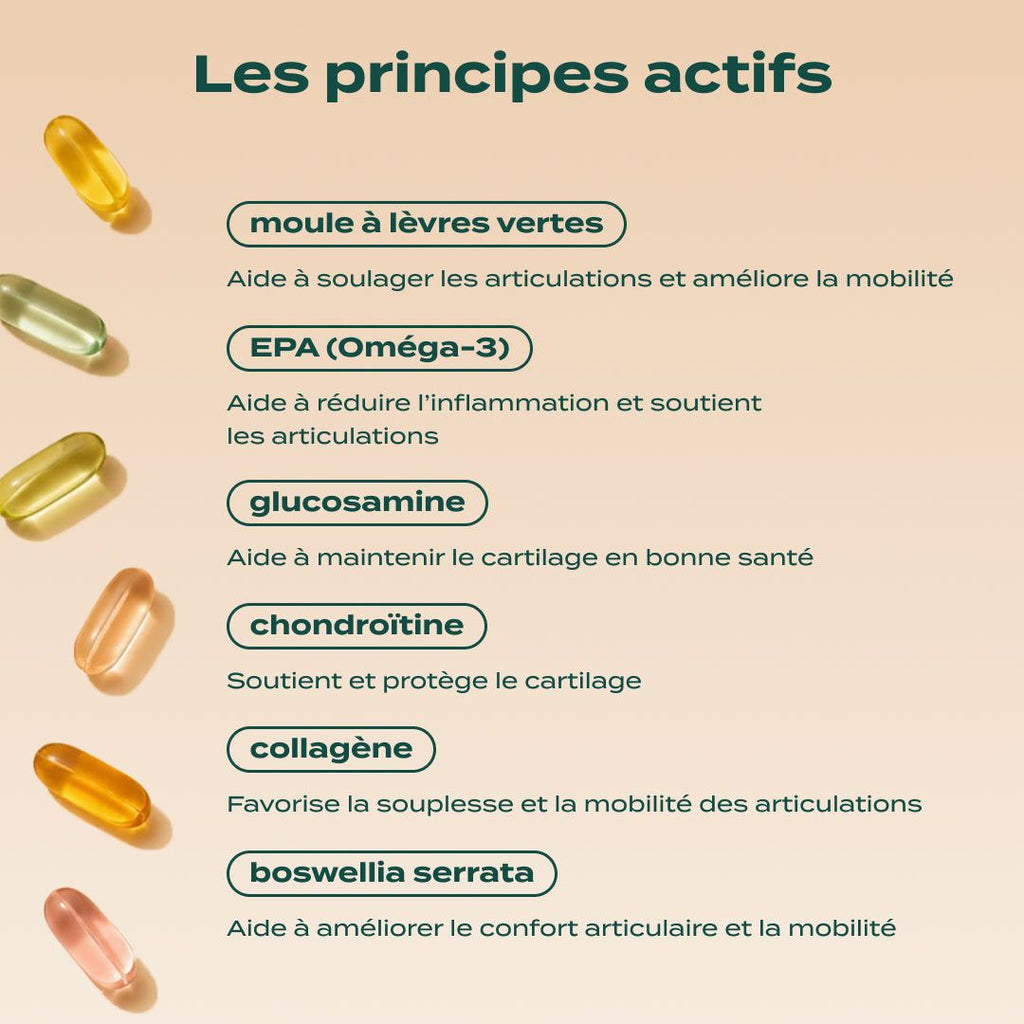 GUMMIES ARTICULATIONS