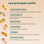 GUMMIES ARTICULATIONS