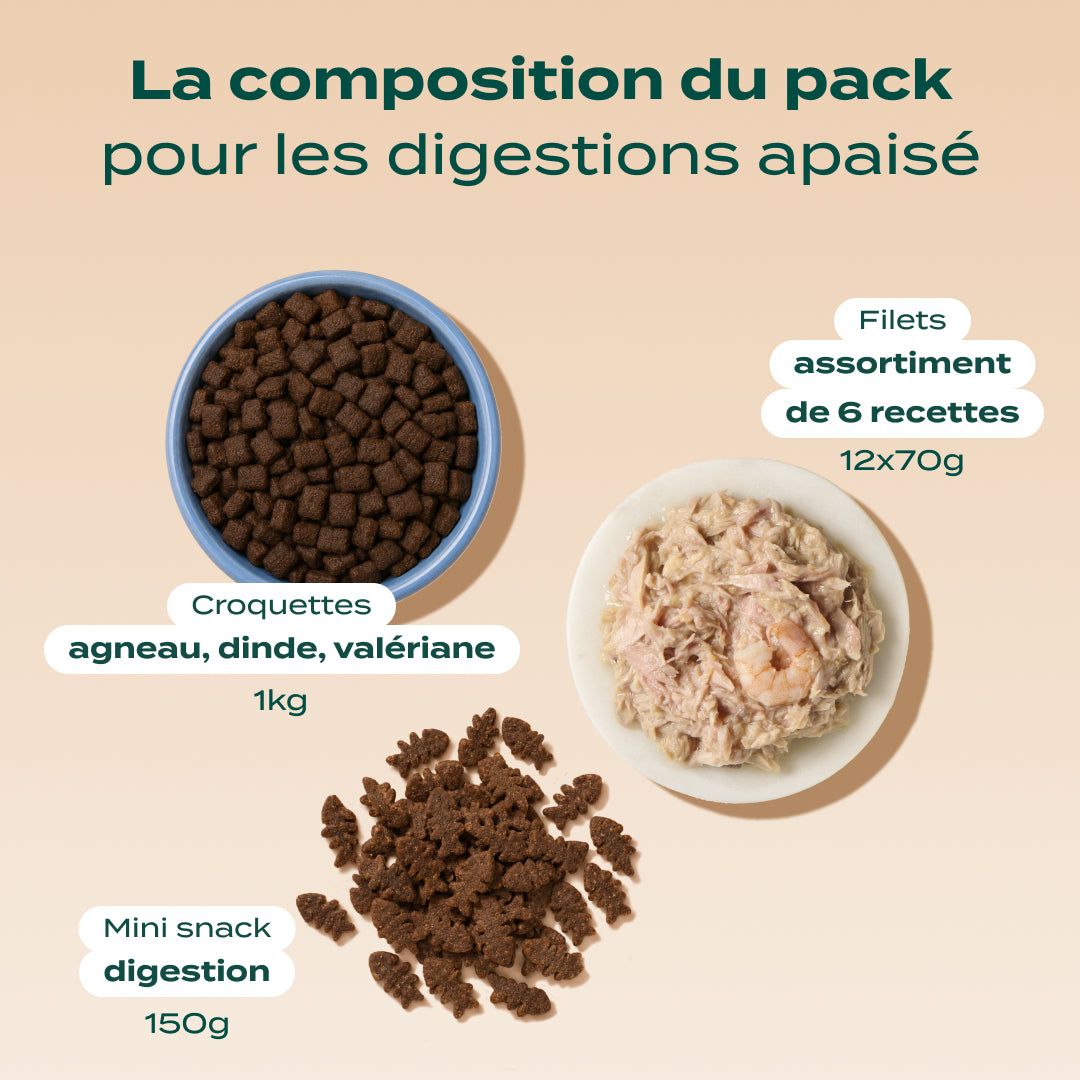 PACK DIGESTION CHAT