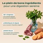 AGNEAU, PATATE DOUCE, MENTHE