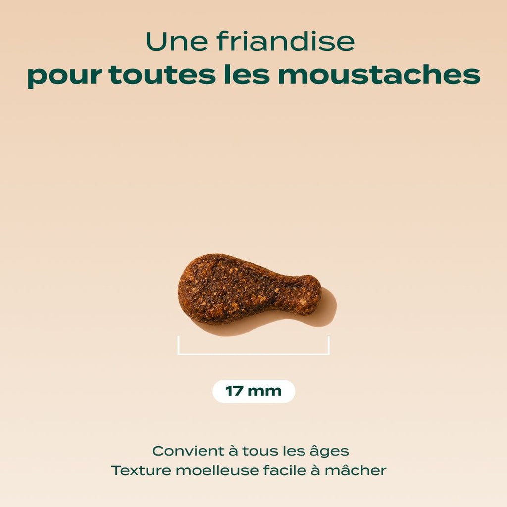 MINI BOUCHÉES POULET