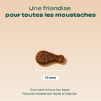 MINI BOUCHÉES POULET