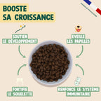 POULET, SAUMON, FENOUIL