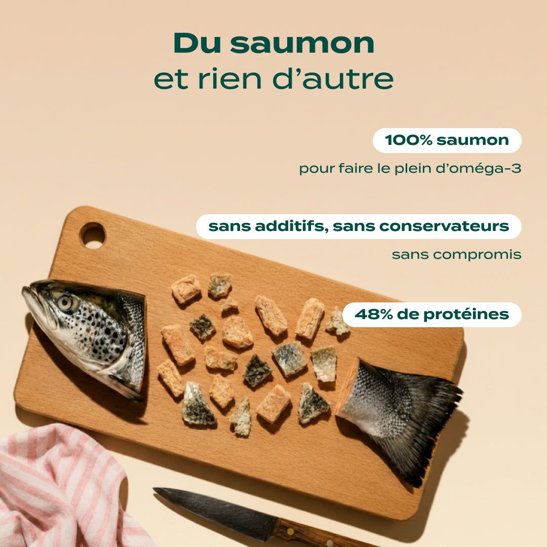 SNACK SAUMON