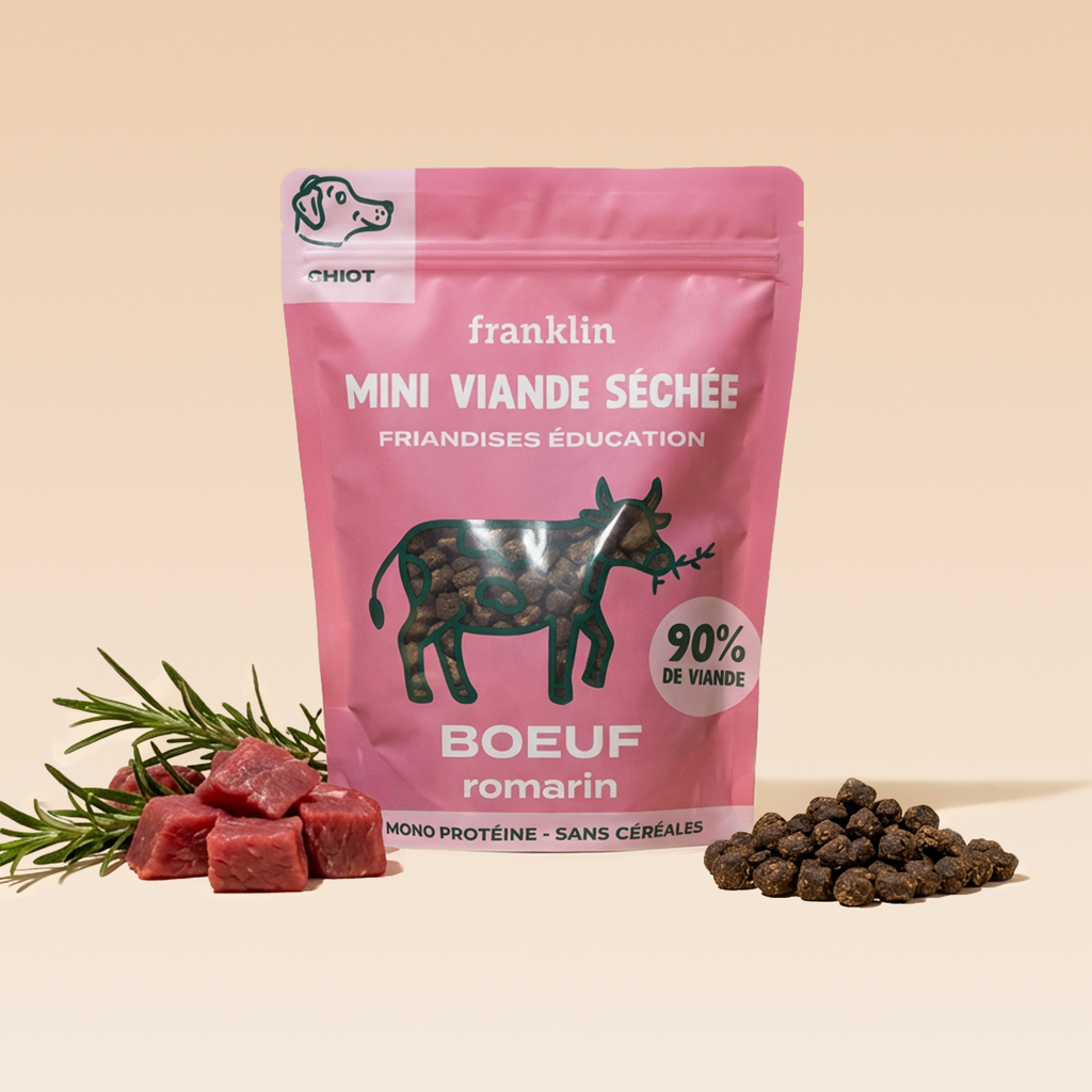 Mini viande séchée boeuf