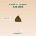 DINDE, COURGE, POIRE