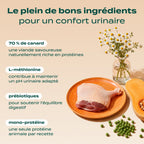 CANARD, COURGE, CAMOMILLE