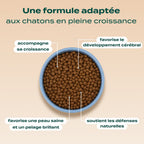 POULET, SAUMON, CAROTTE