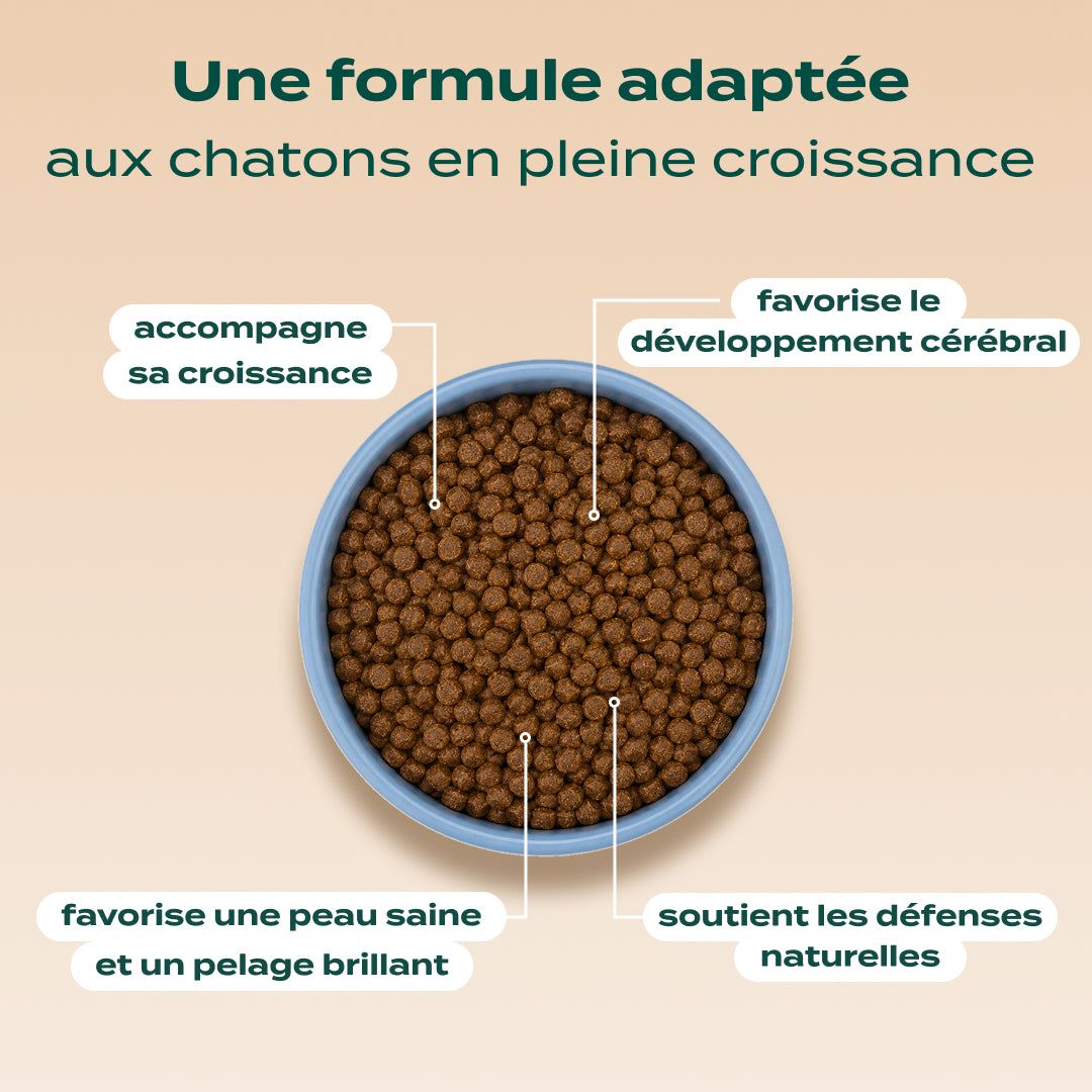 POULET, SAUMON, CAROTTE