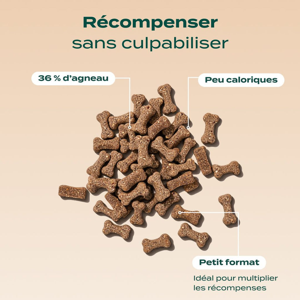 PACK SURPOIDS CHIEN