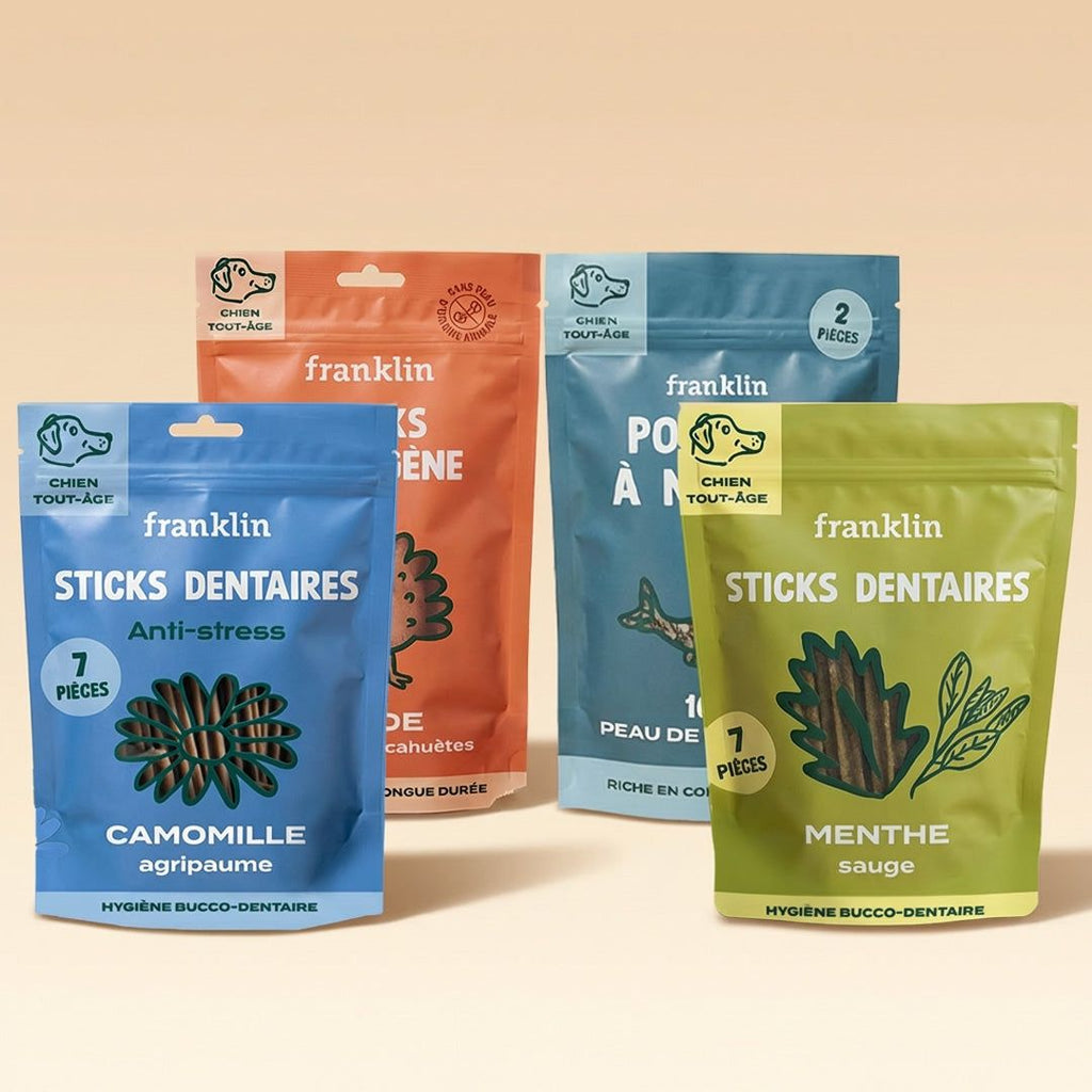 PACK STICKS DENTAIRES