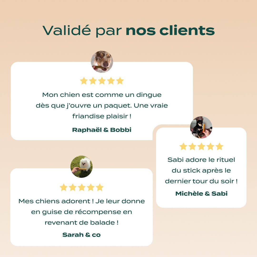 TRIO STICKS DENTAIRES