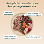 PACK DÉCOUVERTE CHIEN