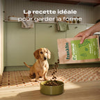 POULET, COURGE, MYRTILLE