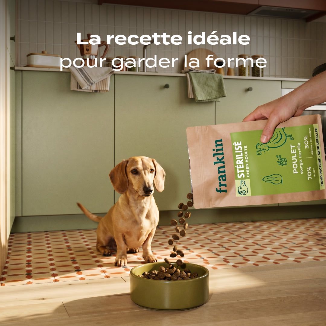 POULET, COURGE, MYRTILLE