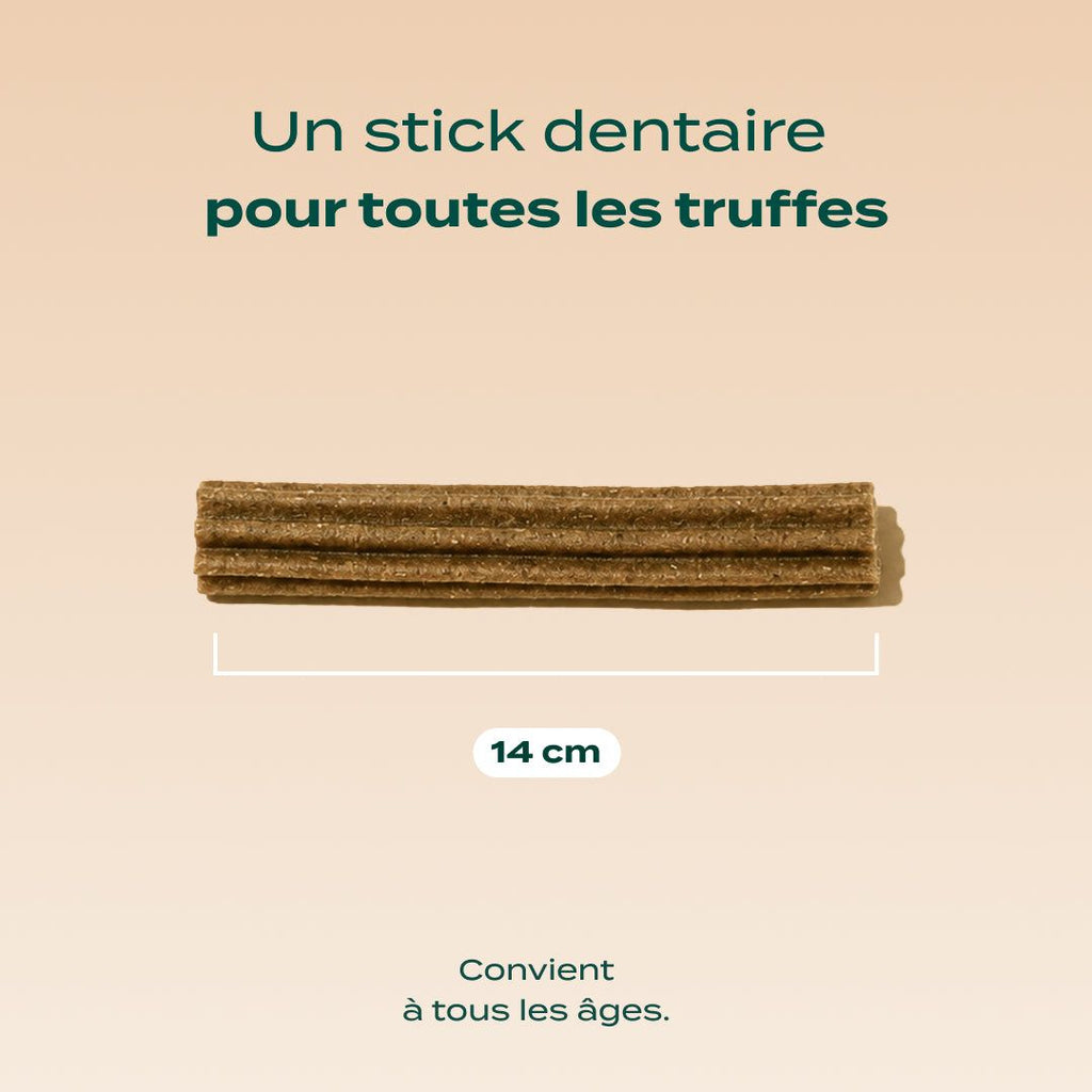 STICKS MENTHE, SAUGE