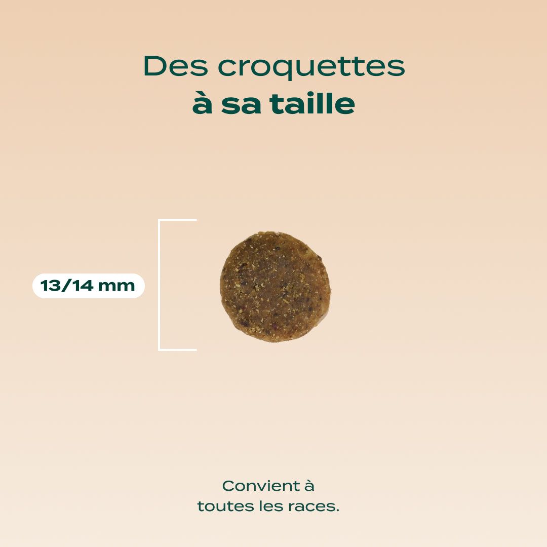 DINDE, SAUMON, VALÉRIANE