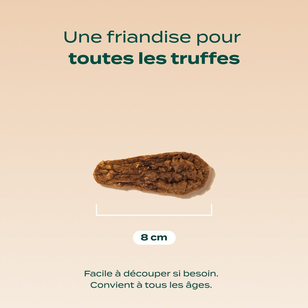 FAISAN SÉCHÉ