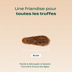 FAISAN SÉCHÉ