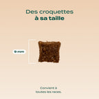 POULET, THON, SAUMON