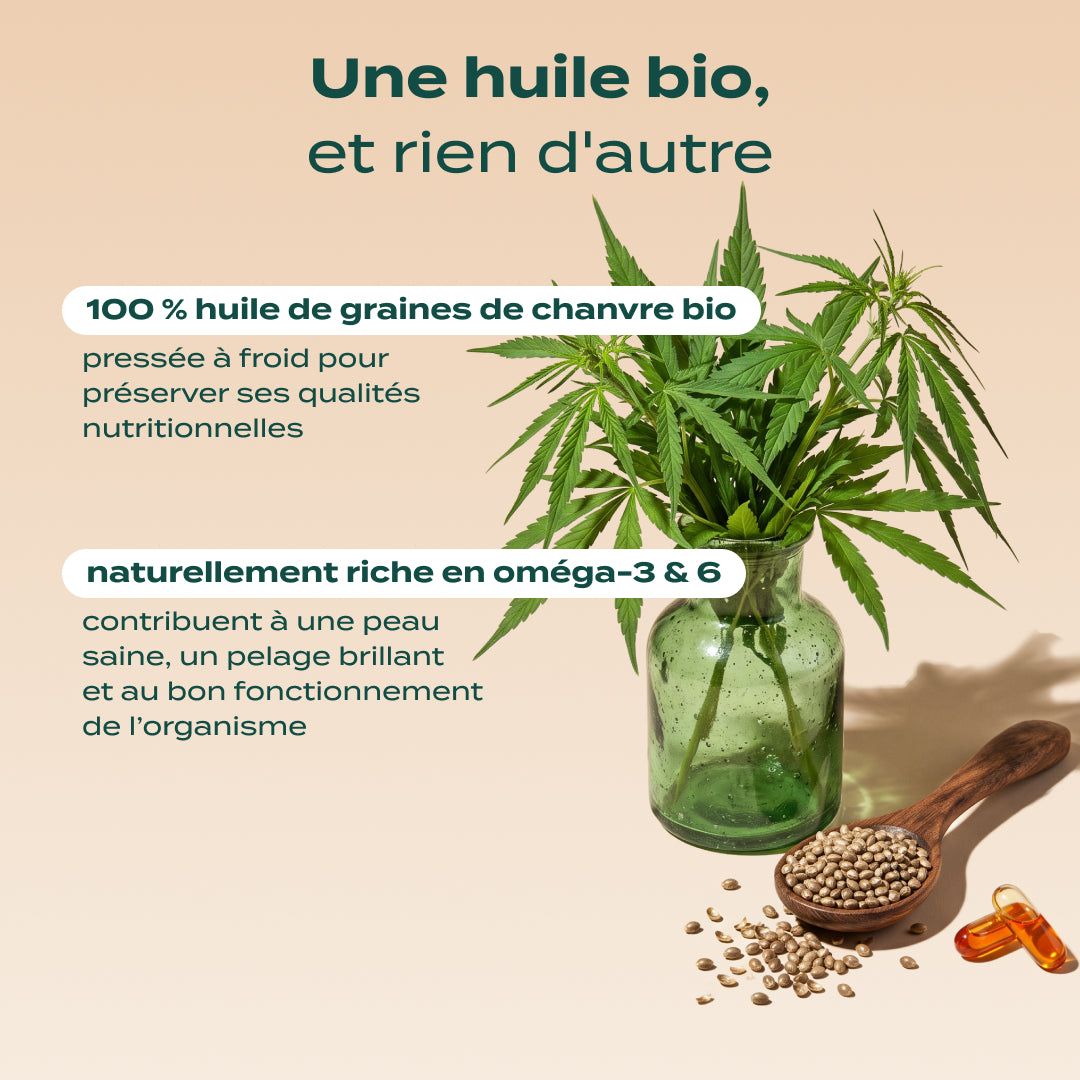 HUILE DE CHANVRE BIO