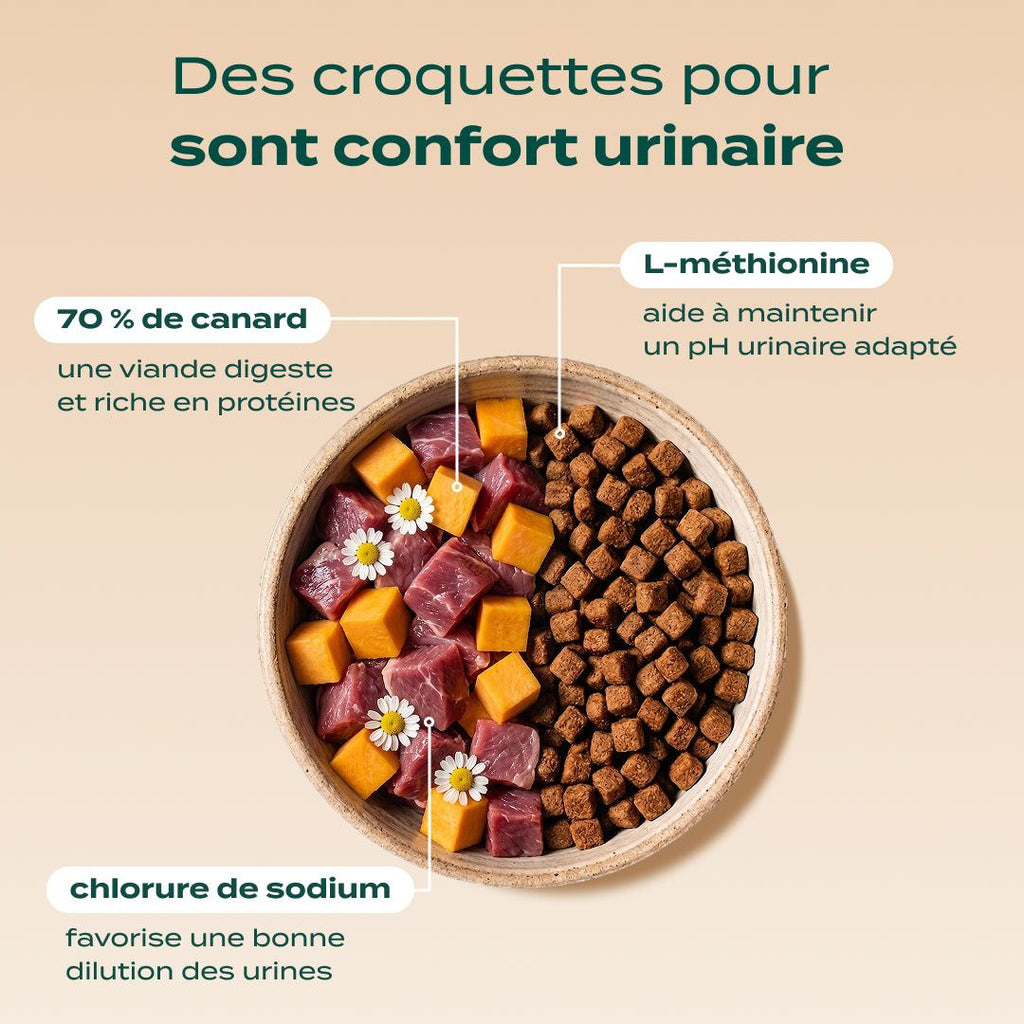 PACK TROUBLES URINAIRES CHAT