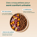 PACK TROUBLES URINAIRES CHAT