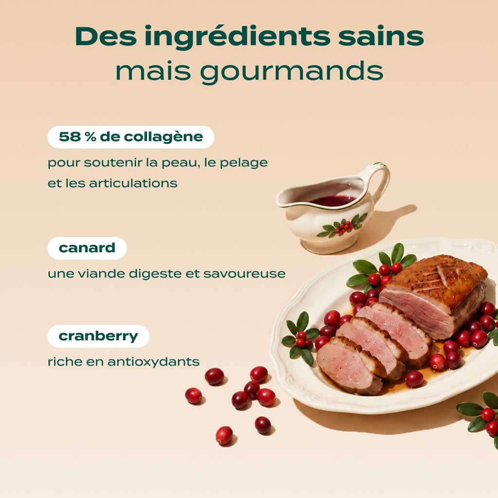 OS À MÂCHER