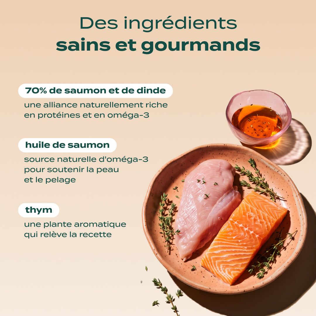 SAUMON, DINDE, CANNEBERGE