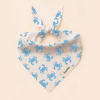 BANDANA 100% COTON CHAT
