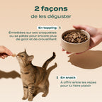 SNACK GÉSIER DE POULET
