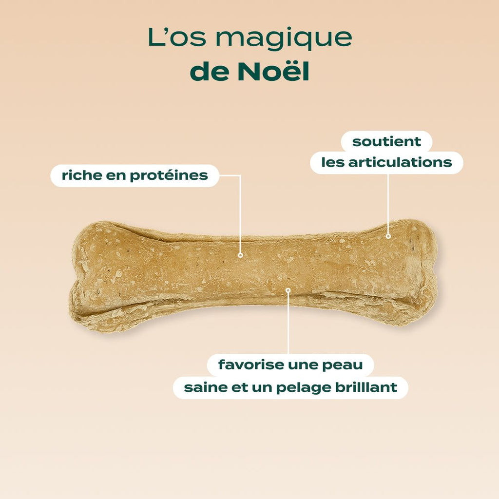 OS À MÂCHER