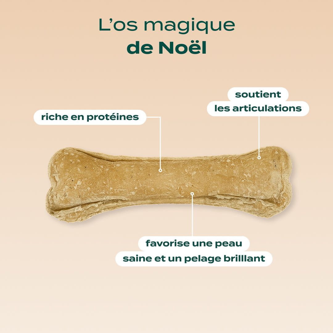 OS À MÂCHER