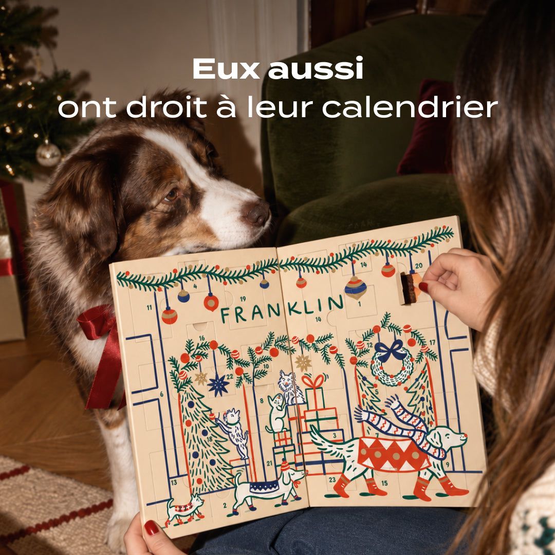 CALENDRIER DE L'AVENT