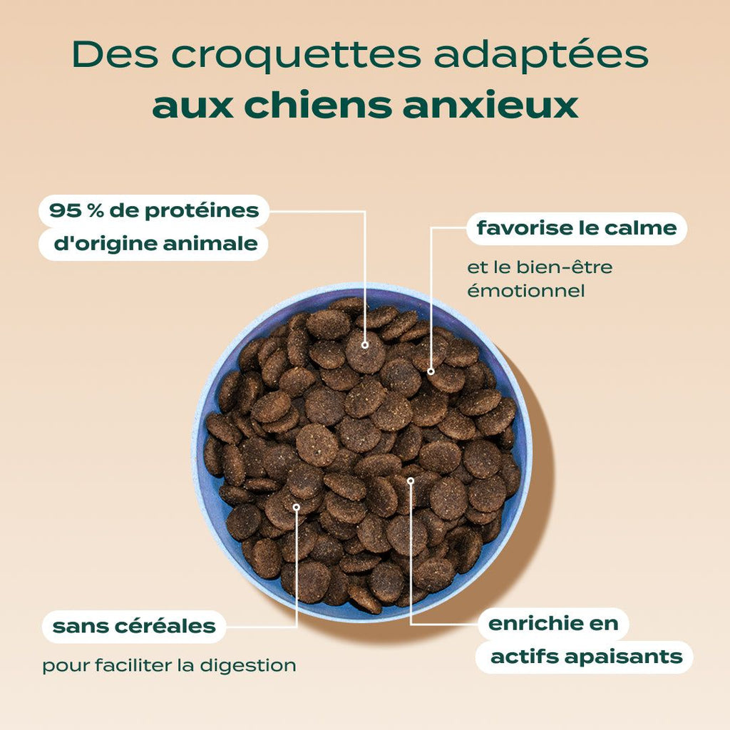 DINDE, SAUMON, VALÉRIANE