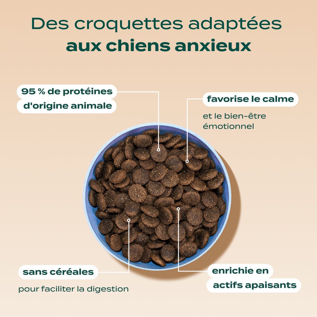 DINDE, SAUMON, VALÉRIANE