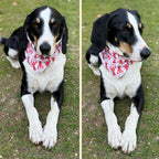 BANDANA 100% COTON CHIEN