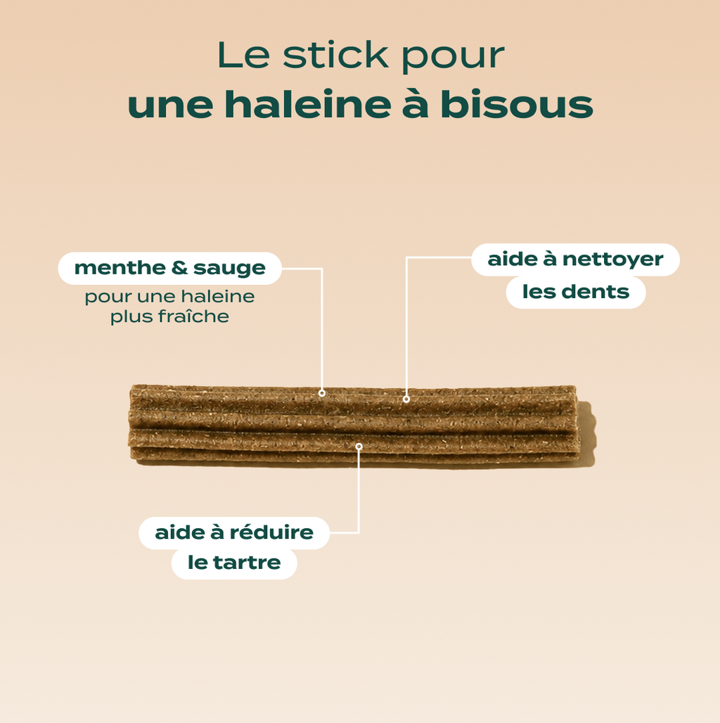 TRIO STICKS DENTAIRES