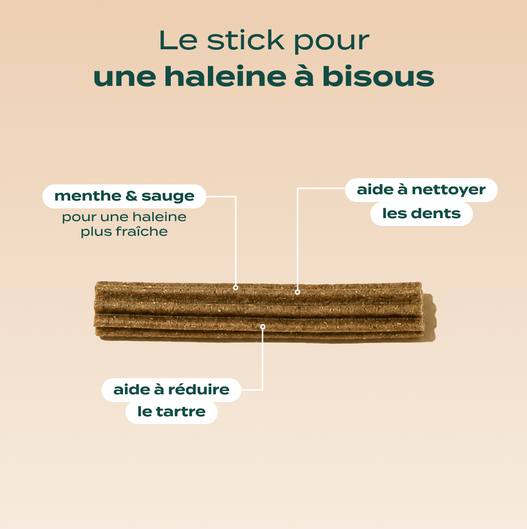 TRIO STICKS DENTAIRES