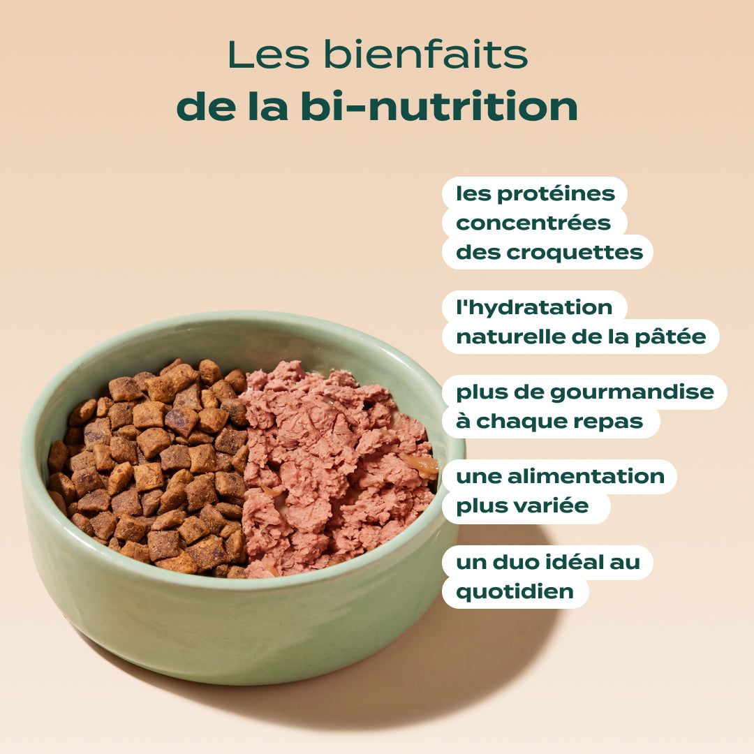 SAUMON, DINDE, CANNEBERGE