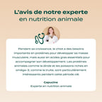 POULET, SAUMON, FENOUIL